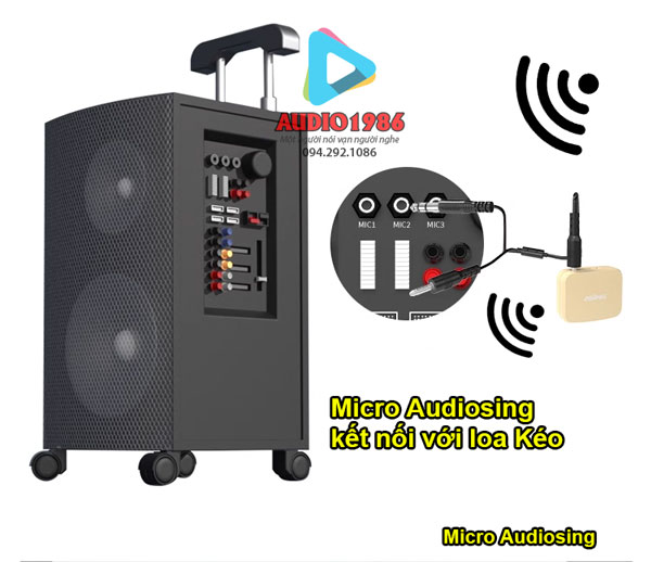 mic-khong-day-audiosing-wm03-mau-da-hat-gao-5